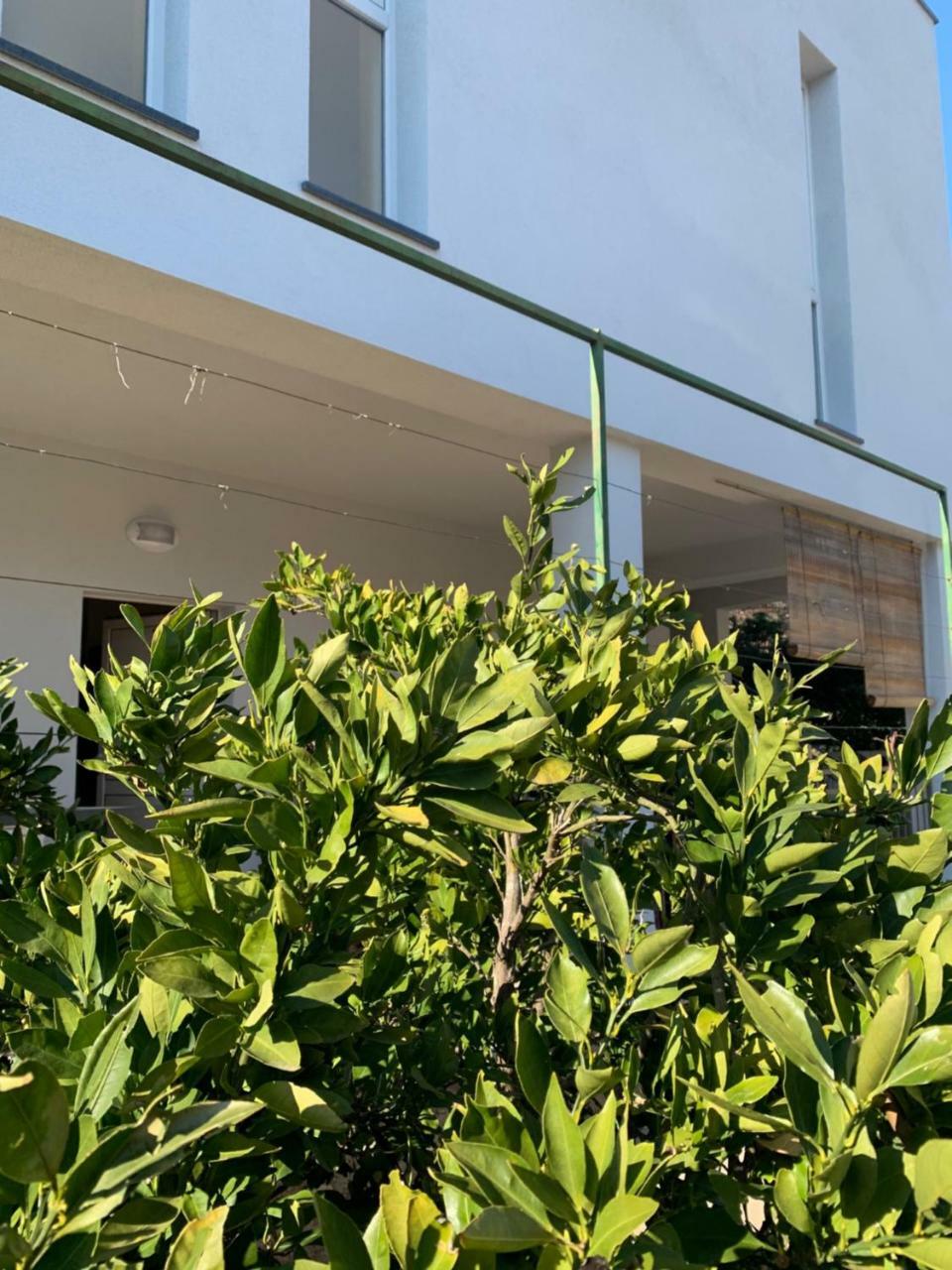 Modern Apartments Day Šibenik Dış mekan fotoğraf
